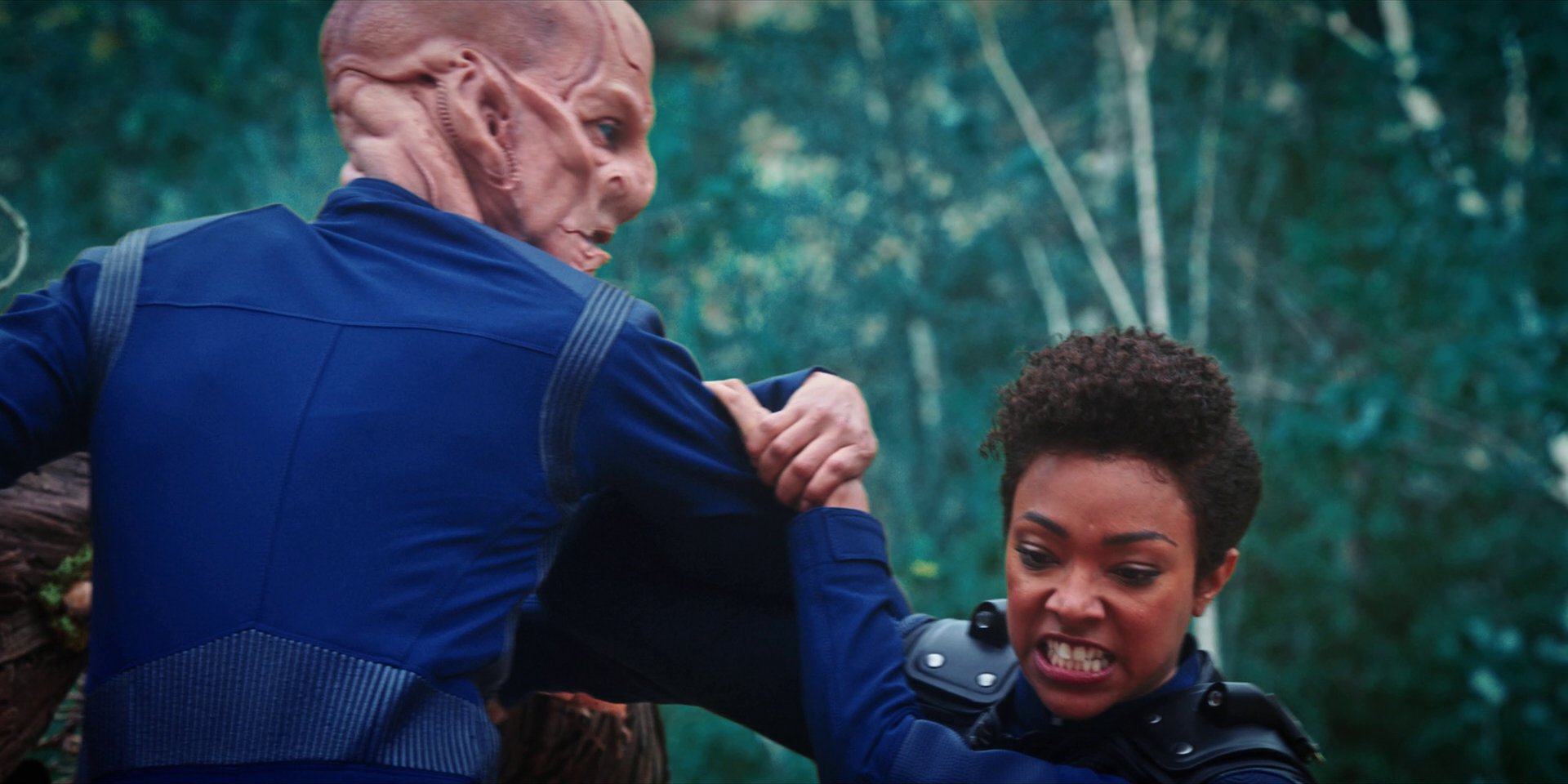 extant_StarTrekDiscovery_1x08-SiVisPacemParaBellum_3403.jpg