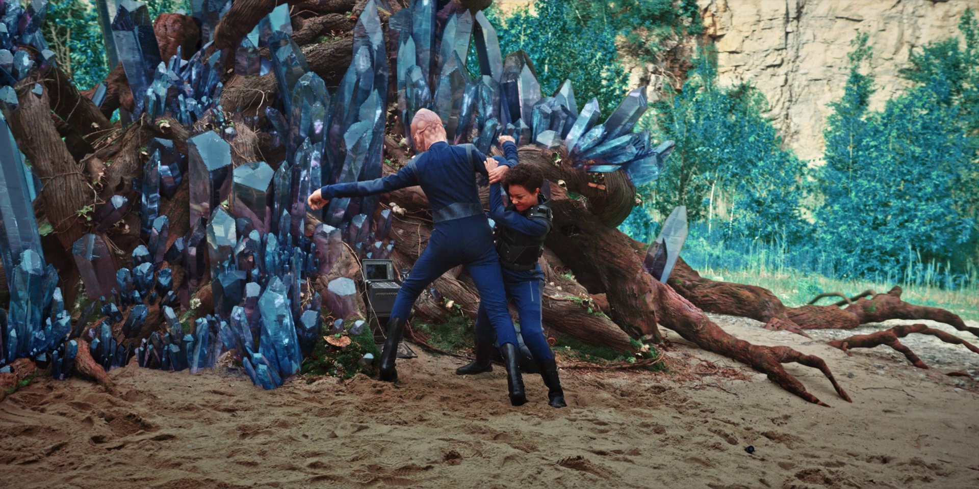 extant_StarTrekDiscovery_1x08-SiVisPacemParaBellum_3406.jpg