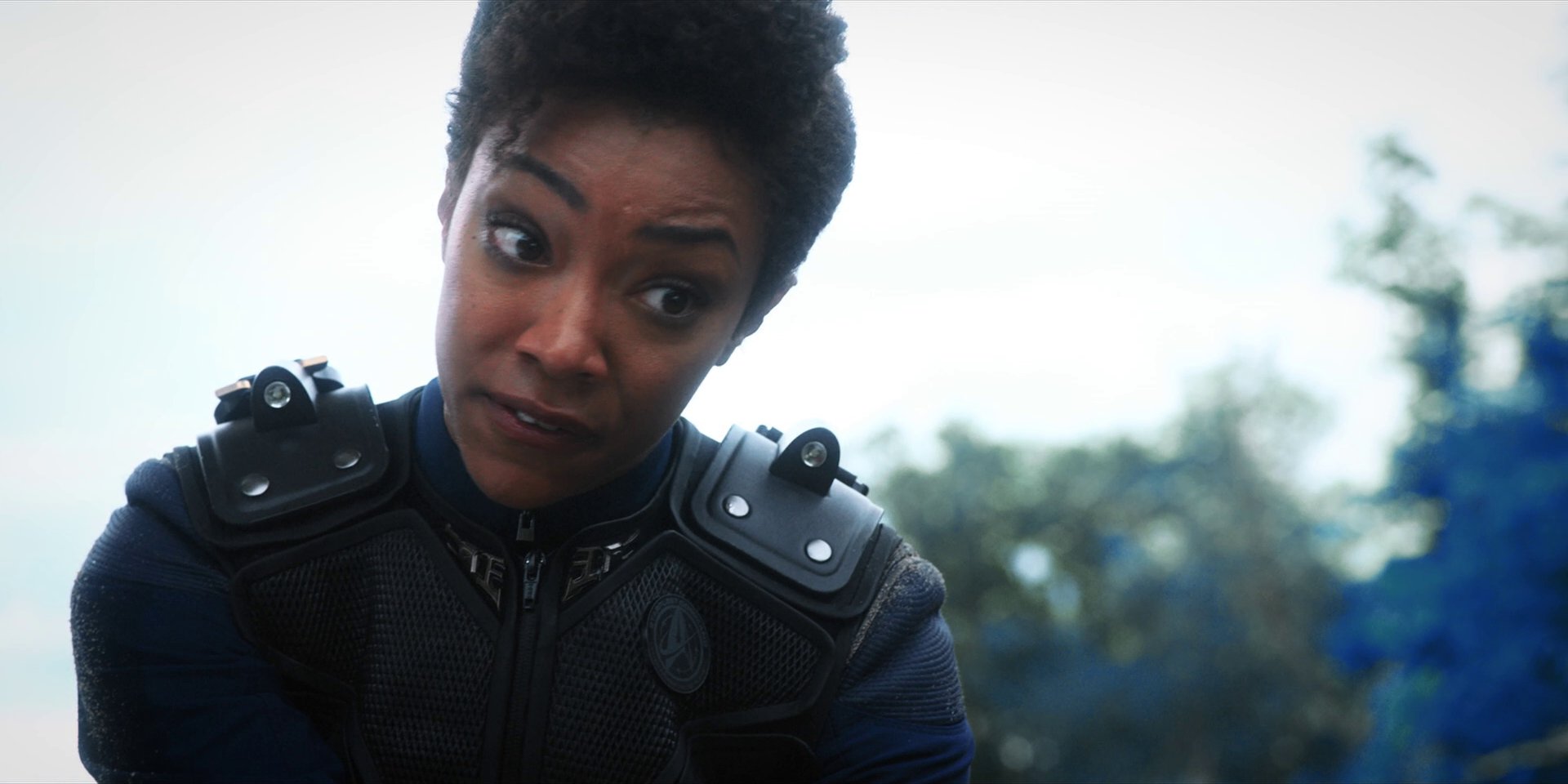 extant_StarTrekDiscovery_1x08-SiVisPacemParaBellum_3536.jpg
