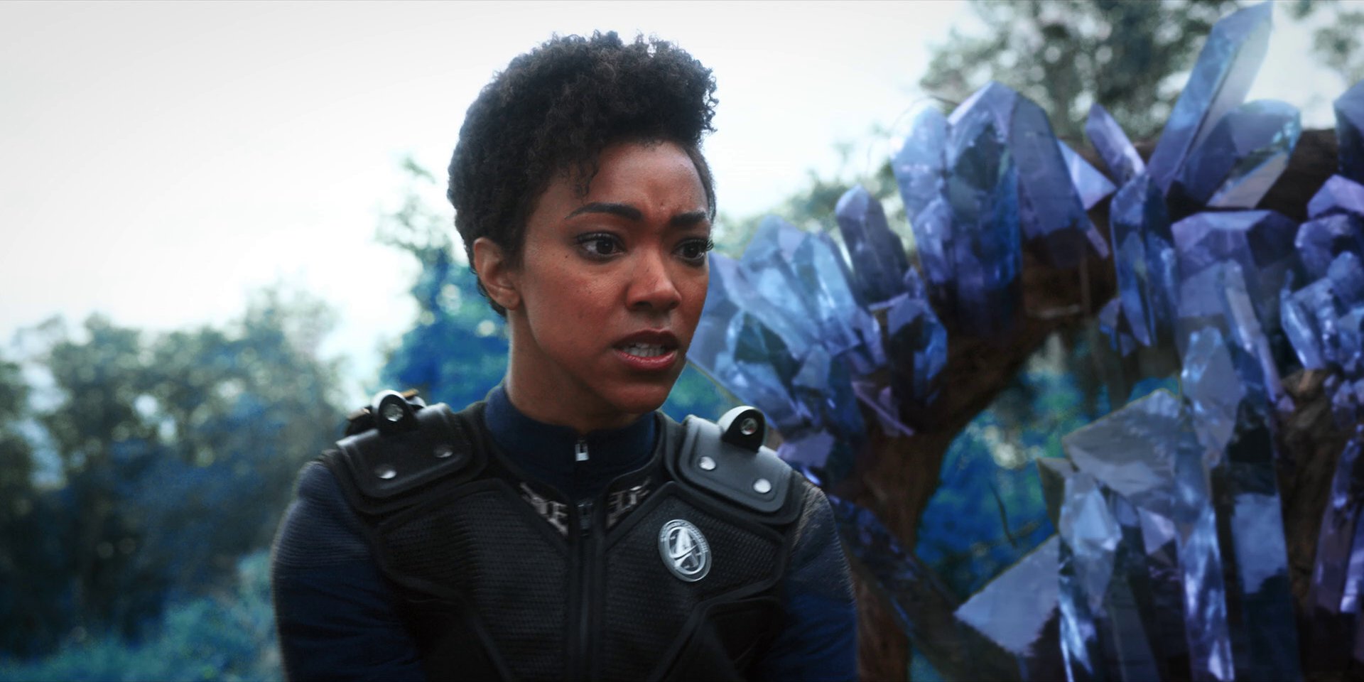 extant_StarTrekDiscovery_1x08-SiVisPacemParaBellum_3569.jpg