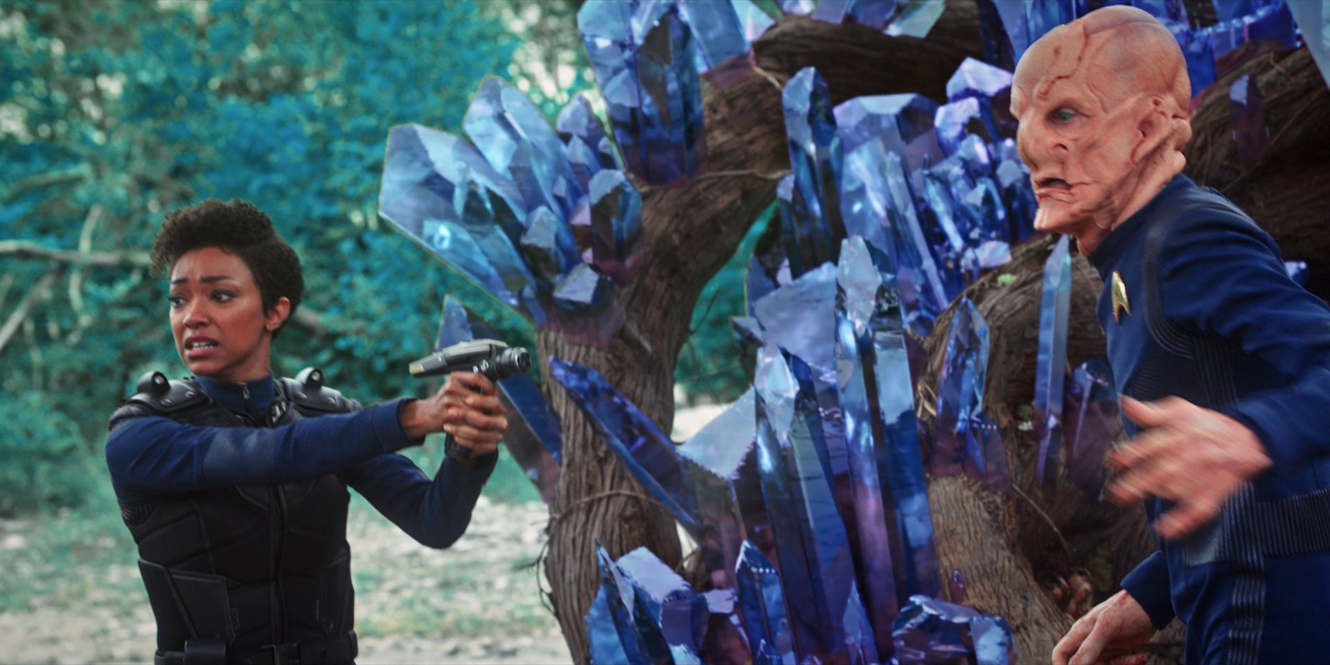 extant_StarTrekDiscovery_1x08-SiVisPacemParaBellum_3572.jpg