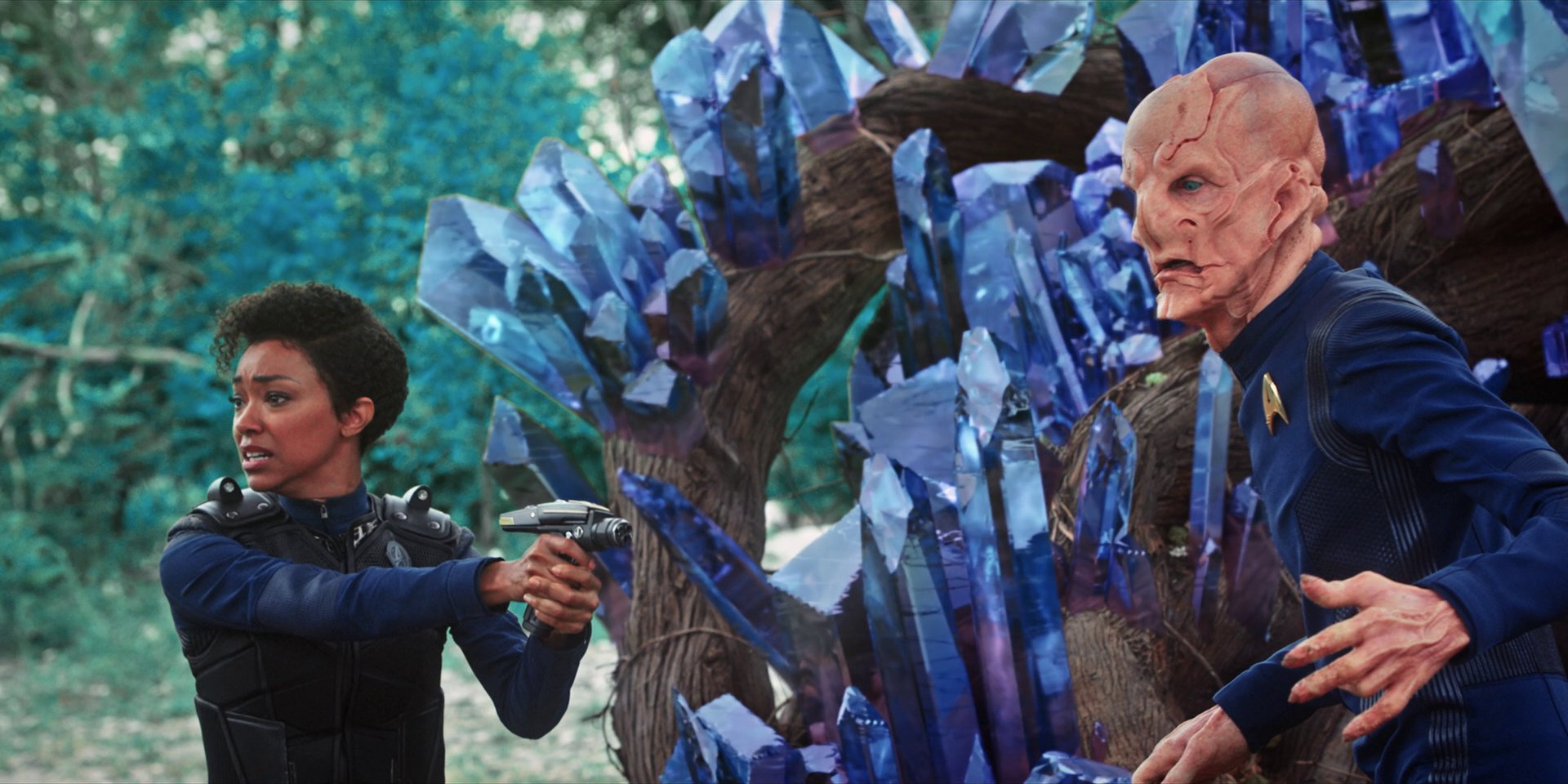 extant_StarTrekDiscovery_1x08-SiVisPacemParaBellum_3573.jpg