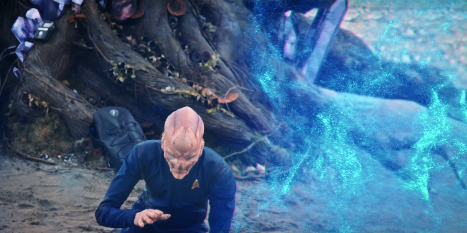 extant_StarTrekDiscovery_1x08-SiVisPacemParaBellum_3592.jpg