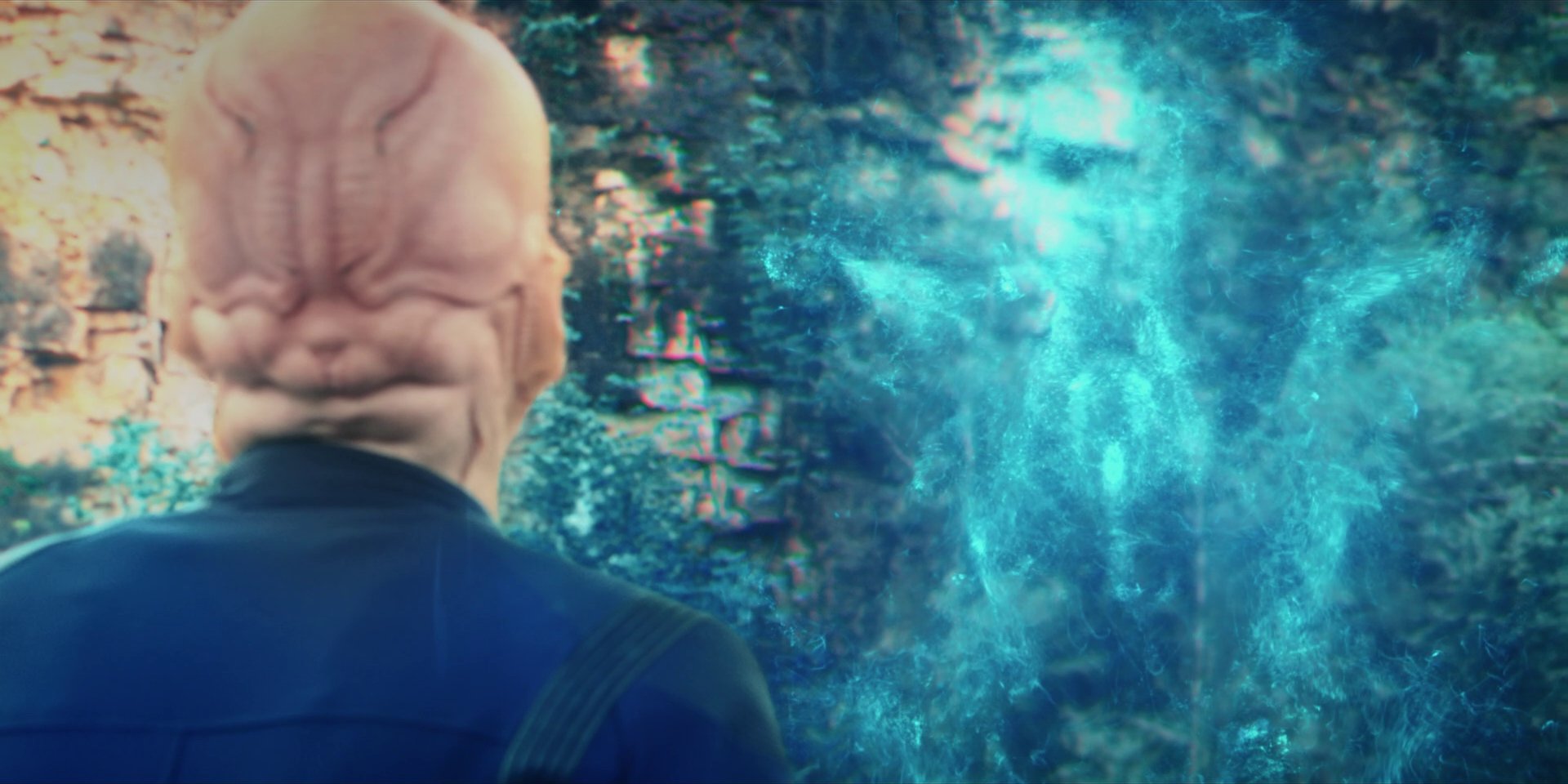 extant_StarTrekDiscovery_1x08-SiVisPacemParaBellum_3616.jpg