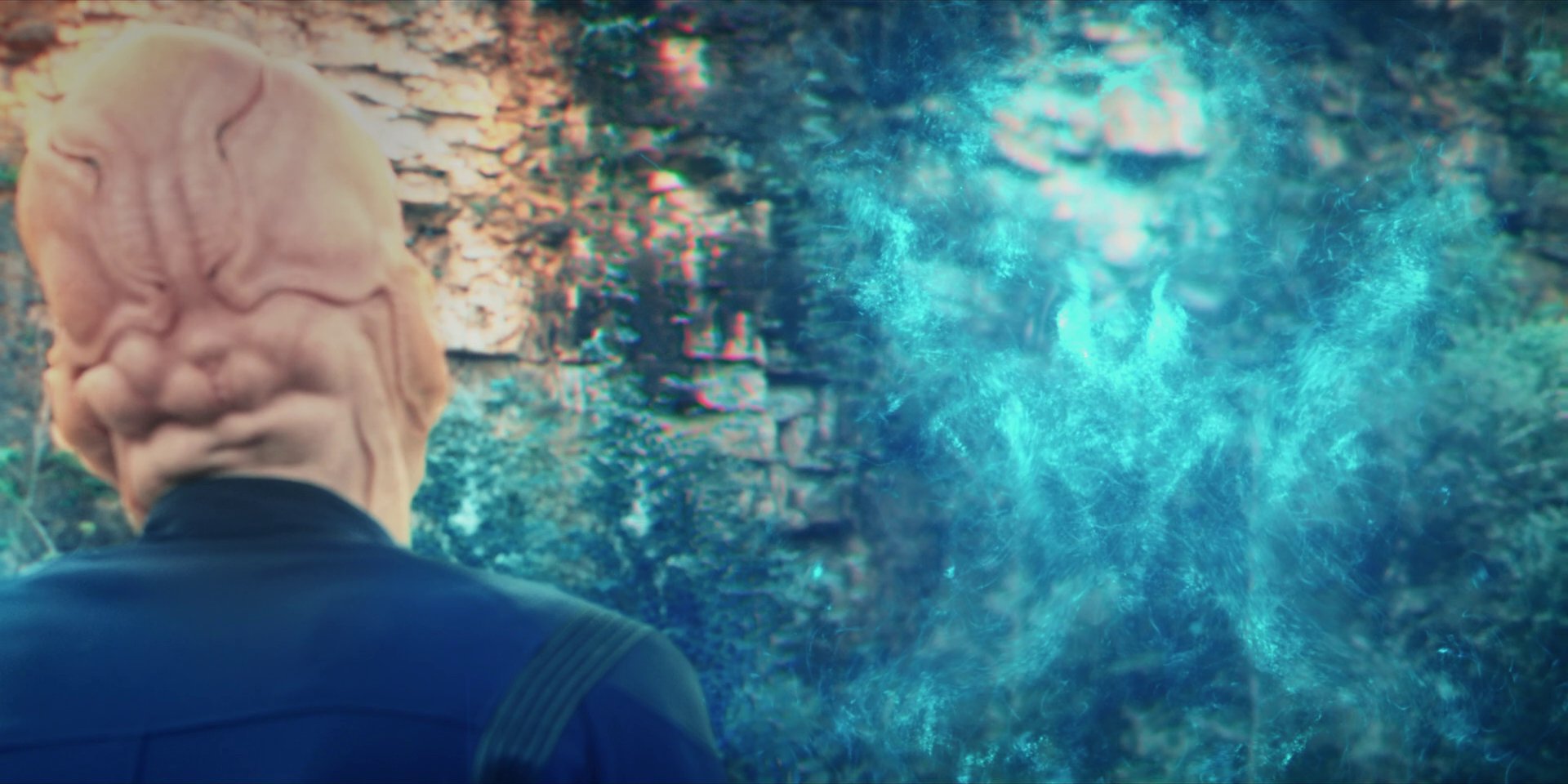 extant_StarTrekDiscovery_1x08-SiVisPacemParaBellum_3618.jpg