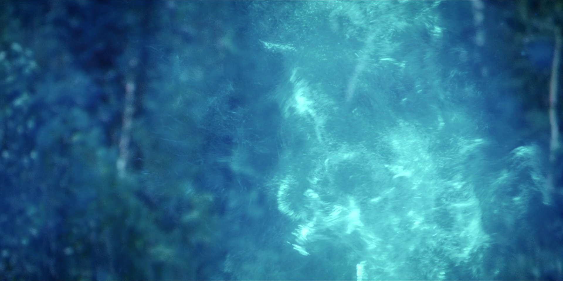 extant_StarTrekDiscovery_1x08-SiVisPacemParaBellum_3636.jpg