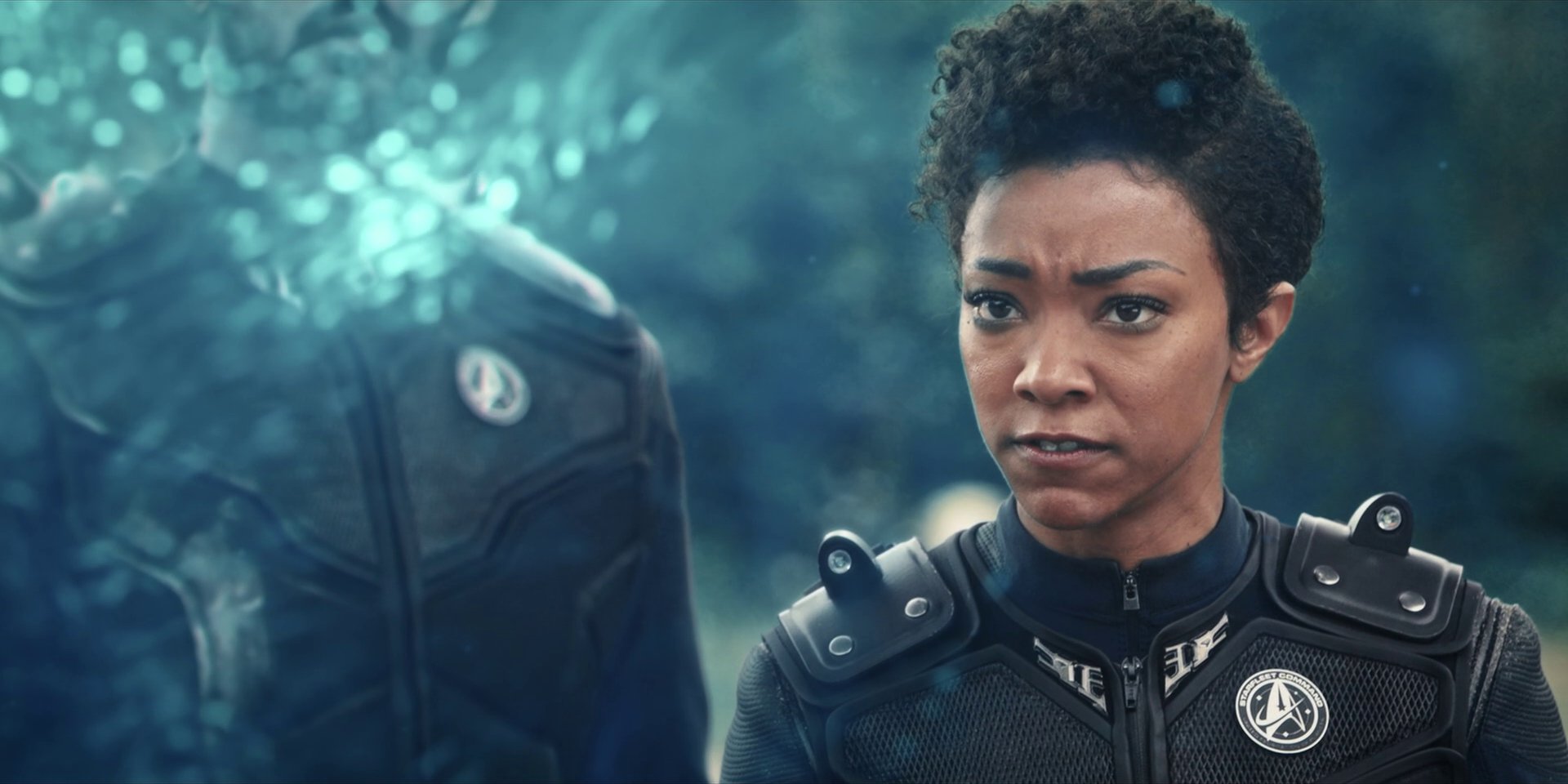 extant_StarTrekDiscovery_1x08-SiVisPacemParaBellum_3655.jpg