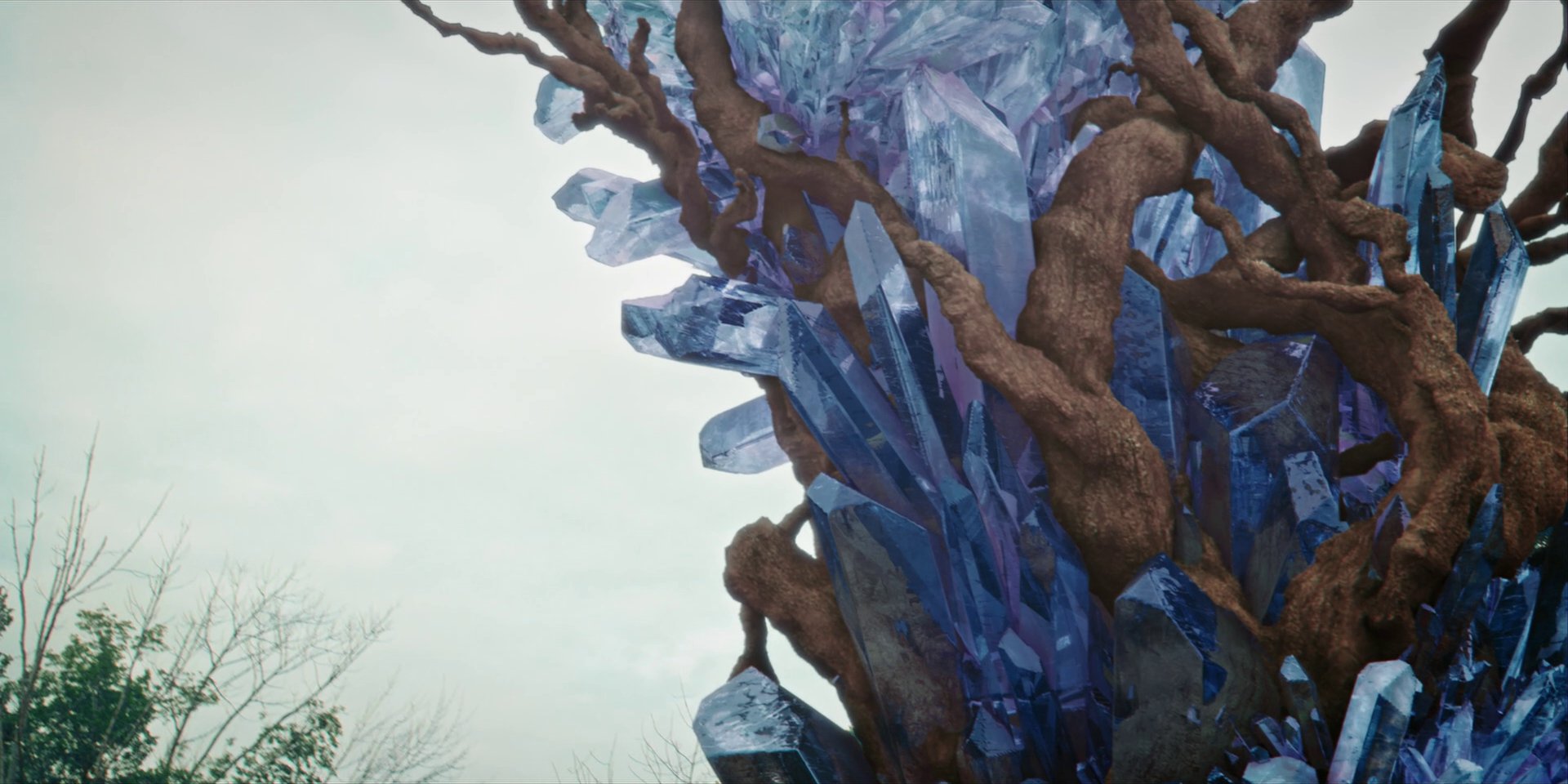 extant_StarTrekDiscovery_1x08-SiVisPacemParaBellum_3714.jpg
