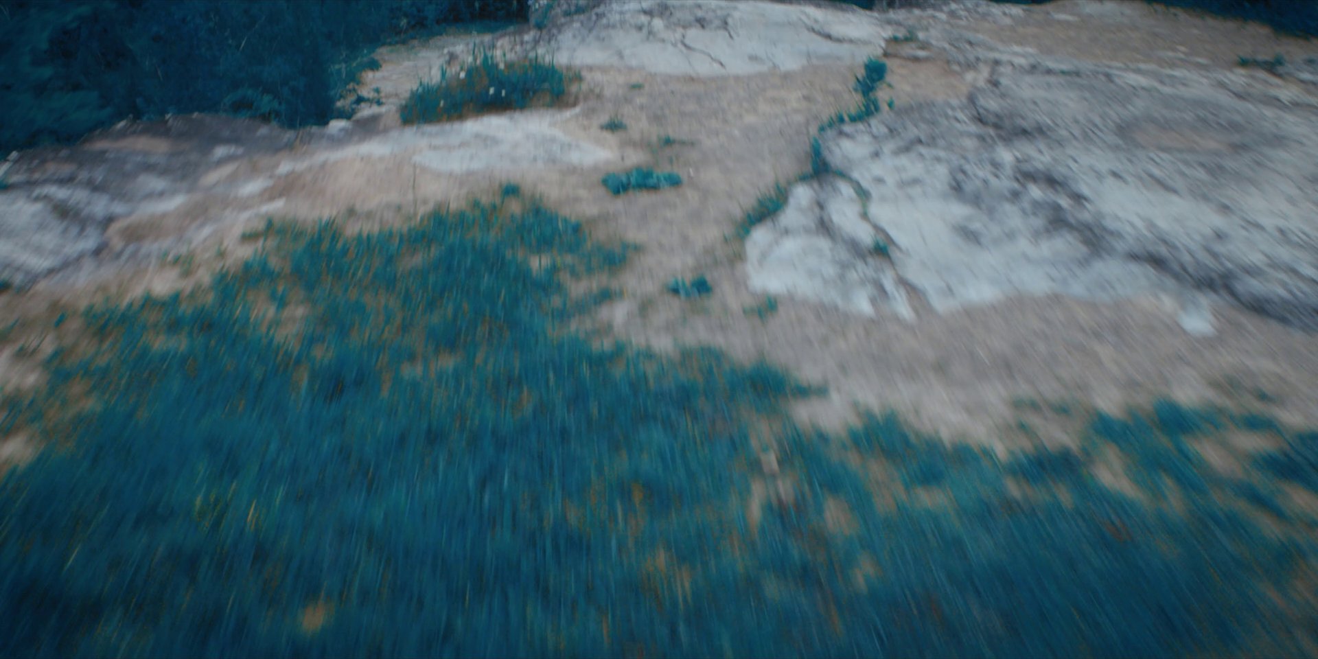 extant_StarTrekDiscovery_1x08-SiVisPacemParaBellum_4366.jpg