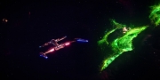 Filename=extant_StarTrekDiscovery_1x08-SiVisPacemParaBellum_0302.jpg
Filesize=104KiB
Dimensions=1920x960
Date added=Jan 02, 2019 extant_StarTrekDiscovery_1x08-SiVisPacemParaBellum_0302.jpg