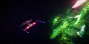 Filename=extant_StarTrekDiscovery_1x08-SiVisPacemParaBellum_0303.jpg
Filesize=136KiB
Dimensions=1920x960
Date added=Jan 02, 2019 extant_StarTrekDiscovery_1x08-SiVisPacemParaBellum_0303.jpg