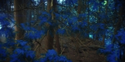 Filename=extant_StarTrekDiscovery_1x08-SiVisPacemParaBellum_0758.jpg
Filesize=253KiB
Dimensions=1920x960
Date added=Jan 02, 2019 extant_StarTrekDiscovery_1x08-SiVisPacemParaBellum_0758.jpg