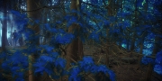 Filename=extant_StarTrekDiscovery_1x08-SiVisPacemParaBellum_0759.jpg
Filesize=255KiB
Dimensions=1920x960
Date added=Jan 02, 2019 extant_StarTrekDiscovery_1x08-SiVisPacemParaBellum_0759.jpg