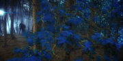 Filename=extant_StarTrekDiscovery_1x08-SiVisPacemParaBellum_0761.jpg
Filesize=252KiB
Dimensions=1920x960
Date added=Jan 02, 2019 extant_StarTrekDiscovery_1x08-SiVisPacemParaBellum_0761.jpg
