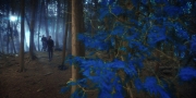 Filename=extant_StarTrekDiscovery_1x08-SiVisPacemParaBellum_0765.jpg
Filesize=266KiB
Dimensions=1920x960
Date added=Jan 02, 2019 extant_StarTrekDiscovery_1x08-SiVisPacemParaBellum_0765.jpg