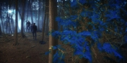 Filename=extant_StarTrekDiscovery_1x08-SiVisPacemParaBellum_0767.jpg
Filesize=281KiB
Dimensions=1920x960
Date added=Jan 02, 2019 extant_StarTrekDiscovery_1x08-SiVisPacemParaBellum_0767.jpg