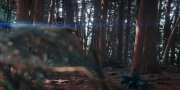 Filename=extant_StarTrekDiscovery_1x08-SiVisPacemParaBellum_0801.jpg
Filesize=291KiB
Dimensions=1920x960
Date added=Jan 02, 2019 extant_StarTrekDiscovery_1x08-SiVisPacemParaBellum_0801.jpg