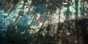 Filename=extant_StarTrekDiscovery_1x08-SiVisPacemParaBellum_0853.jpg
Filesize=430KiB
Dimensions=1920x960
Date added=Jan 02, 2019 extant_StarTrekDiscovery_1x08-SiVisPacemParaBellum_0853.jpg