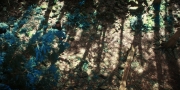 Filename=extant_StarTrekDiscovery_1x08-SiVisPacemParaBellum_0855.jpg
Filesize=493KiB
Dimensions=1920x960
Date added=Jan 02, 2019 extant_StarTrekDiscovery_1x08-SiVisPacemParaBellum_0855.jpg