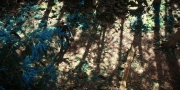 Filename=extant_StarTrekDiscovery_1x08-SiVisPacemParaBellum_0856.jpg
Filesize=500KiB
Dimensions=1920x960
Date added=Jan 02, 2019 extant_StarTrekDiscovery_1x08-SiVisPacemParaBellum_0856.jpg