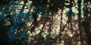 Filename=extant_StarTrekDiscovery_1x08-SiVisPacemParaBellum_0857.jpg
Filesize=505KiB
Dimensions=1920x960
Date added=Jan 02, 2019 extant_StarTrekDiscovery_1x08-SiVisPacemParaBellum_0857.jpg