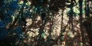 Filename=extant_StarTrekDiscovery_1x08-SiVisPacemParaBellum_0860.jpg
Filesize=496KiB
Dimensions=1920x960
Date added=Jan 02, 2019 extant_StarTrekDiscovery_1x08-SiVisPacemParaBellum_0860.jpg