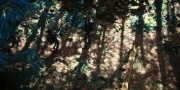Filename=extant_StarTrekDiscovery_1x08-SiVisPacemParaBellum_0861.jpg
Filesize=498KiB
Dimensions=1920x960
Date added=Jan 02, 2019 extant_StarTrekDiscovery_1x08-SiVisPacemParaBellum_0861.jpg