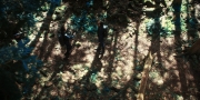 Filename=extant_StarTrekDiscovery_1x08-SiVisPacemParaBellum_0863.jpg
Filesize=509KiB
Dimensions=1920x960
Date added=Jan 02, 2019 extant_StarTrekDiscovery_1x08-SiVisPacemParaBellum_0863.jpg