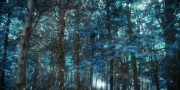 Filename=extant_StarTrekDiscovery_1x08-SiVisPacemParaBellum_0879.jpg
Filesize=407KiB
Dimensions=1920x960
Date added=Jan 02, 2019 extant_StarTrekDiscovery_1x08-SiVisPacemParaBellum_0879.jpg