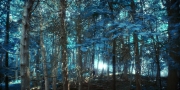 extant_StarTrekDiscovery_1x08-SiVisPacemParaBellum_0881.jpg
