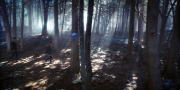 Filename=extant_StarTrekDiscovery_1x08-SiVisPacemParaBellum_0905.jpg
Filesize=330KiB
Dimensions=1920x960
Date added=Jan 02, 2019 extant_StarTrekDiscovery_1x08-SiVisPacemParaBellum_0905.jpg