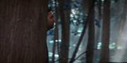 Filename=extant_StarTrekDiscovery_1x08-SiVisPacemParaBellum_0910.jpg
Filesize=129KiB
Dimensions=1920x960
Date added=Jan 02, 2019 extant_StarTrekDiscovery_1x08-SiVisPacemParaBellum_0910.jpg