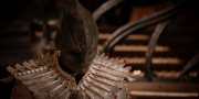 Filename=extant_StarTrekDiscovery_1x08-SiVisPacemParaBellum_1153.jpg
Filesize=204KiB
Dimensions=1920x960
Date added=Jan 02, 2019 extant_StarTrekDiscovery_1x08-SiVisPacemParaBellum_1153.jpg