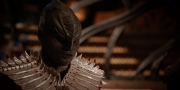 Filename=extant_StarTrekDiscovery_1x08-SiVisPacemParaBellum_1157.jpg
Filesize=201KiB
Dimensions=1920x960
Date added=Jan 02, 2019 extant_StarTrekDiscovery_1x08-SiVisPacemParaBellum_1157.jpg