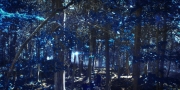extant_StarTrekDiscovery_1x08-SiVisPacemParaBellum_1226.jpg