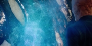extant_StarTrekDiscovery_1x08-SiVisPacemParaBellum_1325.jpg