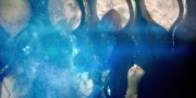 extant_StarTrekDiscovery_1x08-SiVisPacemParaBellum_1340.jpg