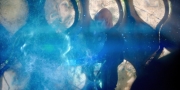 extant_StarTrekDiscovery_1x08-SiVisPacemParaBellum_1341.jpg