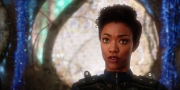 extant_StarTrekDiscovery_1x08-SiVisPacemParaBellum_1407.jpg