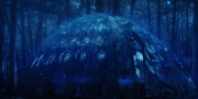 Filename=extant_StarTrekDiscovery_1x08-SiVisPacemParaBellum_1532.jpg
Filesize=299KiB
Dimensions=1920x960
Date added=Jan 02, 2019 extant_StarTrekDiscovery_1x08-SiVisPacemParaBellum_1532.jpg