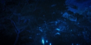 Filename=extant_StarTrekDiscovery_1x08-SiVisPacemParaBellum_2085.jpg
Filesize=126KiB
Dimensions=1920x960
Date added=Jan 02, 2019 extant_StarTrekDiscovery_1x08-SiVisPacemParaBellum_2085.jpg