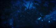 extant_StarTrekDiscovery_1x08-SiVisPacemParaBellum_2087.jpg
