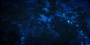 Filename=extant_StarTrekDiscovery_1x08-SiVisPacemParaBellum_2088.jpg
Filesize=137KiB
Dimensions=1920x960
Date added=Jan 02, 2019 extant_StarTrekDiscovery_1x08-SiVisPacemParaBellum_2088.jpg