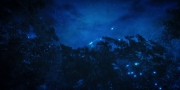 extant_StarTrekDiscovery_1x08-SiVisPacemParaBellum_2090.jpg