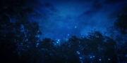 Filename=extant_StarTrekDiscovery_1x08-SiVisPacemParaBellum_2091.jpg
Filesize=141KiB
Dimensions=1920x960
Date added=Jan 02, 2019 extant_StarTrekDiscovery_1x08-SiVisPacemParaBellum_2091.jpg