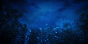 Filename=extant_StarTrekDiscovery_1x08-SiVisPacemParaBellum_2093.jpg
Filesize=168KiB
Dimensions=1920x960
Date added=Jan 02, 2019 extant_StarTrekDiscovery_1x08-SiVisPacemParaBellum_2093.jpg