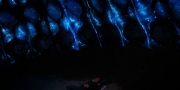 Filename=extant_StarTrekDiscovery_1x08-SiVisPacemParaBellum_2189.jpg
Filesize=145KiB
Dimensions=1920x960
Date added=Jan 02, 2019 extant_StarTrekDiscovery_1x08-SiVisPacemParaBellum_2189.jpg