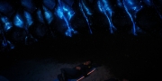 Filename=extant_StarTrekDiscovery_1x08-SiVisPacemParaBellum_2190.jpg
Filesize=131KiB
Dimensions=1920x960
Date added=Jan 02, 2019 extant_StarTrekDiscovery_1x08-SiVisPacemParaBellum_2190.jpg