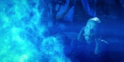 extant_StarTrekDiscovery_1x08-SiVisPacemParaBellum_2255.jpg