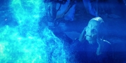 extant_StarTrekDiscovery_1x08-SiVisPacemParaBellum_2257.jpg